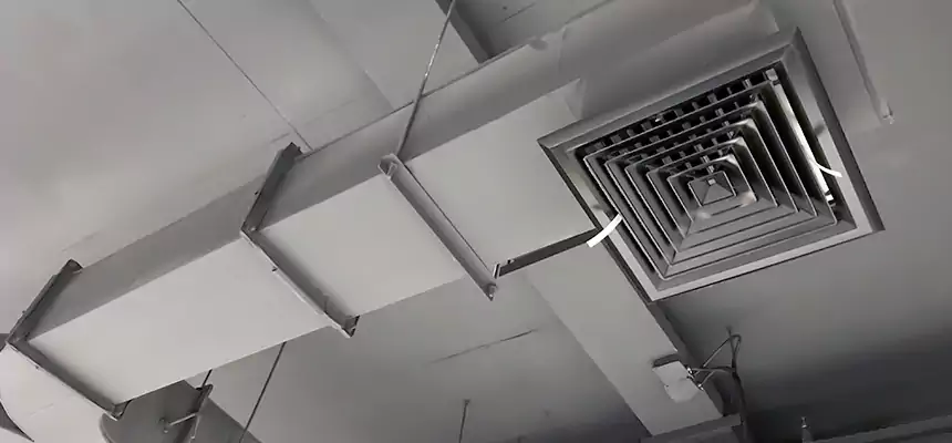 Restorative Allergy Relief Vent Cleaning – Coil, Blower & Housing Detail in Milford Mill