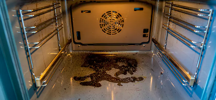 Our Dryer Vent Mold Cleaning Services in Milford Mill, MD