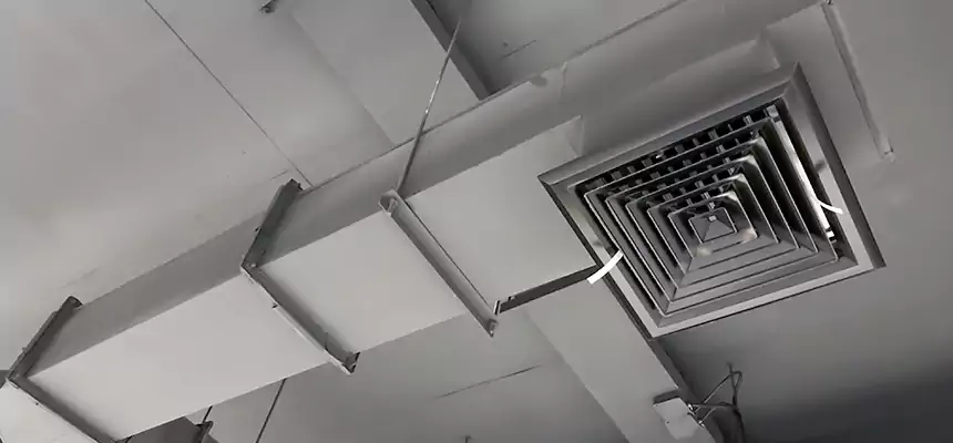 Our Rodent Droppings In Vents Services in Milford Mill, MD