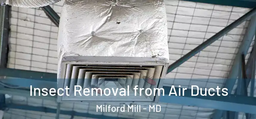 Insect Removal from Air Ducts Milford Mill - MD