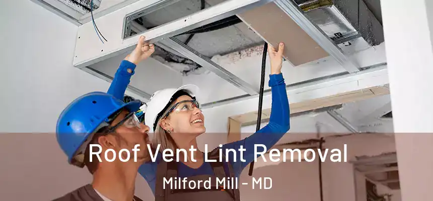 Roof Vent Lint Removal Milford Mill - MD