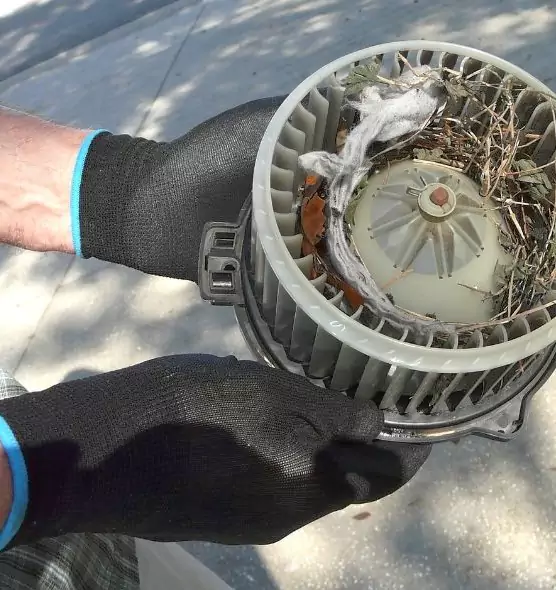 About Air Duct Mice Removal in Milford Mill, MD