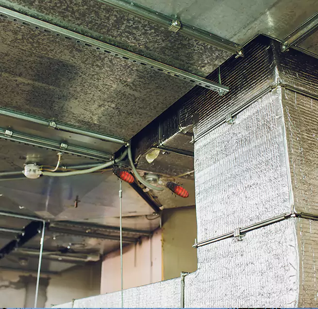 Why Homeowners & Businesses Trust Us in Milford Mill, MD?