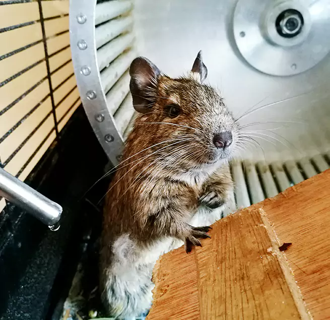 Why Homeowners & Businesses Trust Us Milford Mill, MD