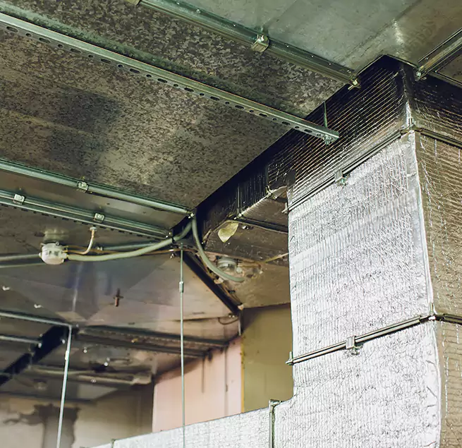 Why Homeowners & Businesses Trust Us in Milford Mill, MD?